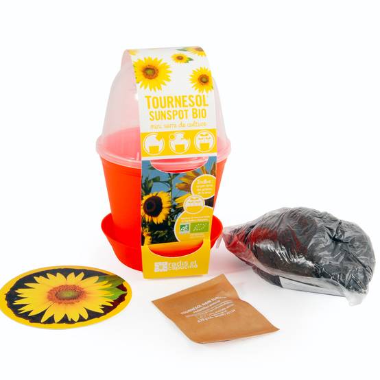 Pot Cloche Tournesol bio - Image 1