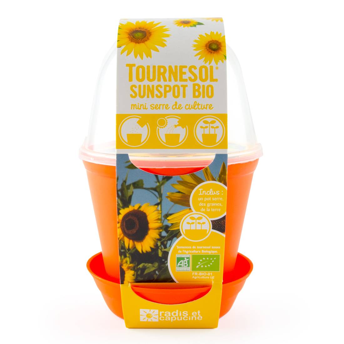 Pot Cloche Tournesol bio - Image 2