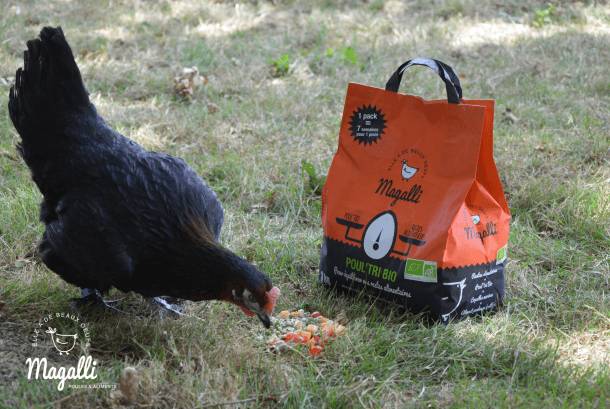 Magalli - Magalli - Aliment Bio complémentaire Poul'tri poule pondeuse 3 kg - Image 5