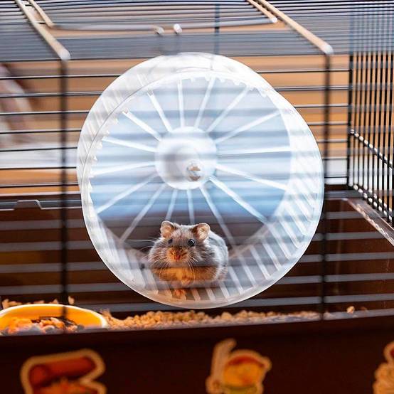 Cage pour hamsters – FERPLAST - Image 3