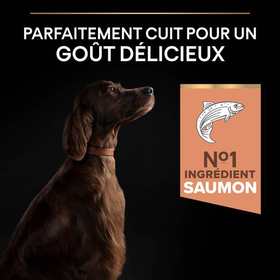 Purina Pro Plan - Croquettes chien Adulte Large Athletic Peau sensible Saumon 14 kg - PRO PLAN - Image 11