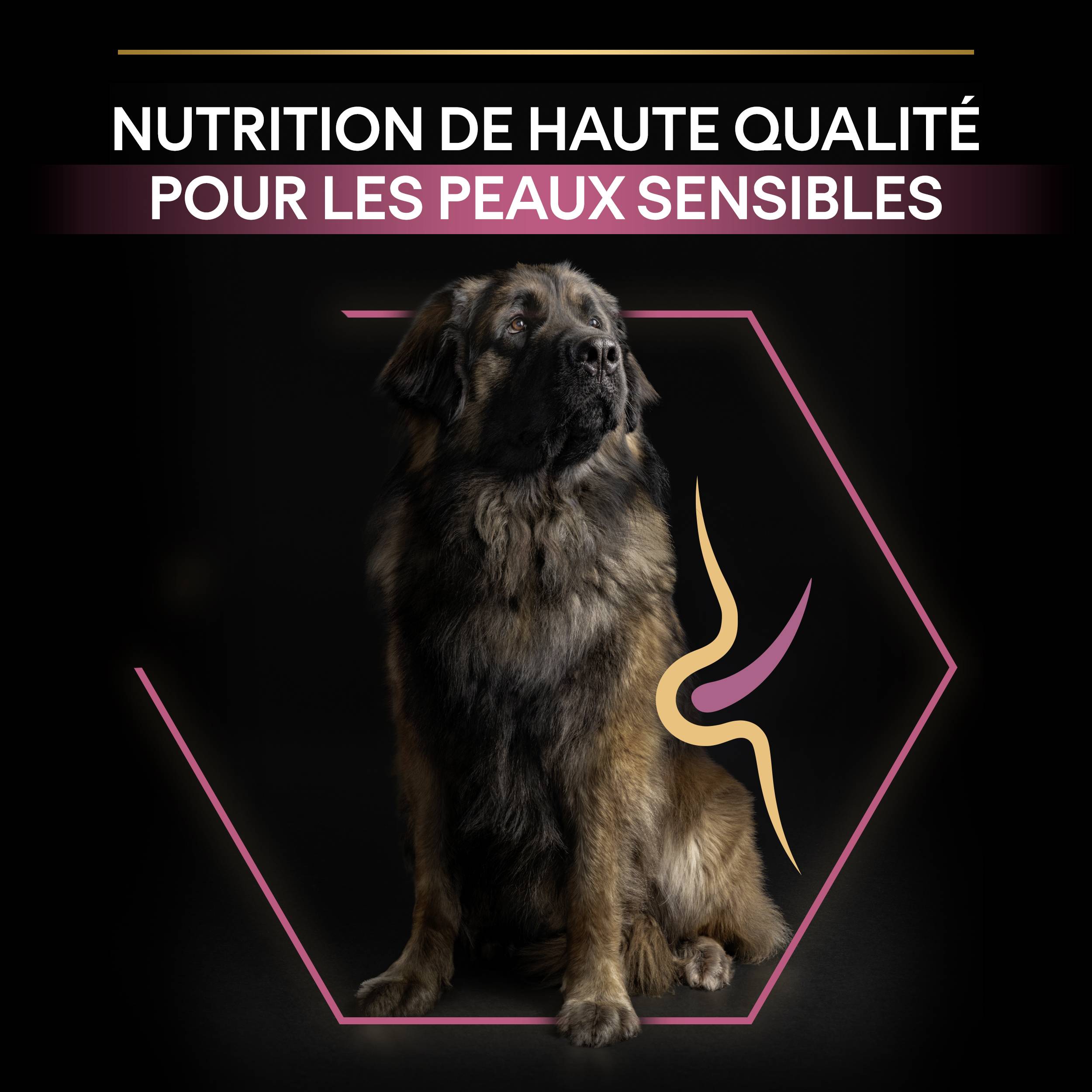 Purina Pro Plan - Croquettes chien Large Adulte Sensitive Skin Saumon 14 kg - PRO PLAN - Image 4