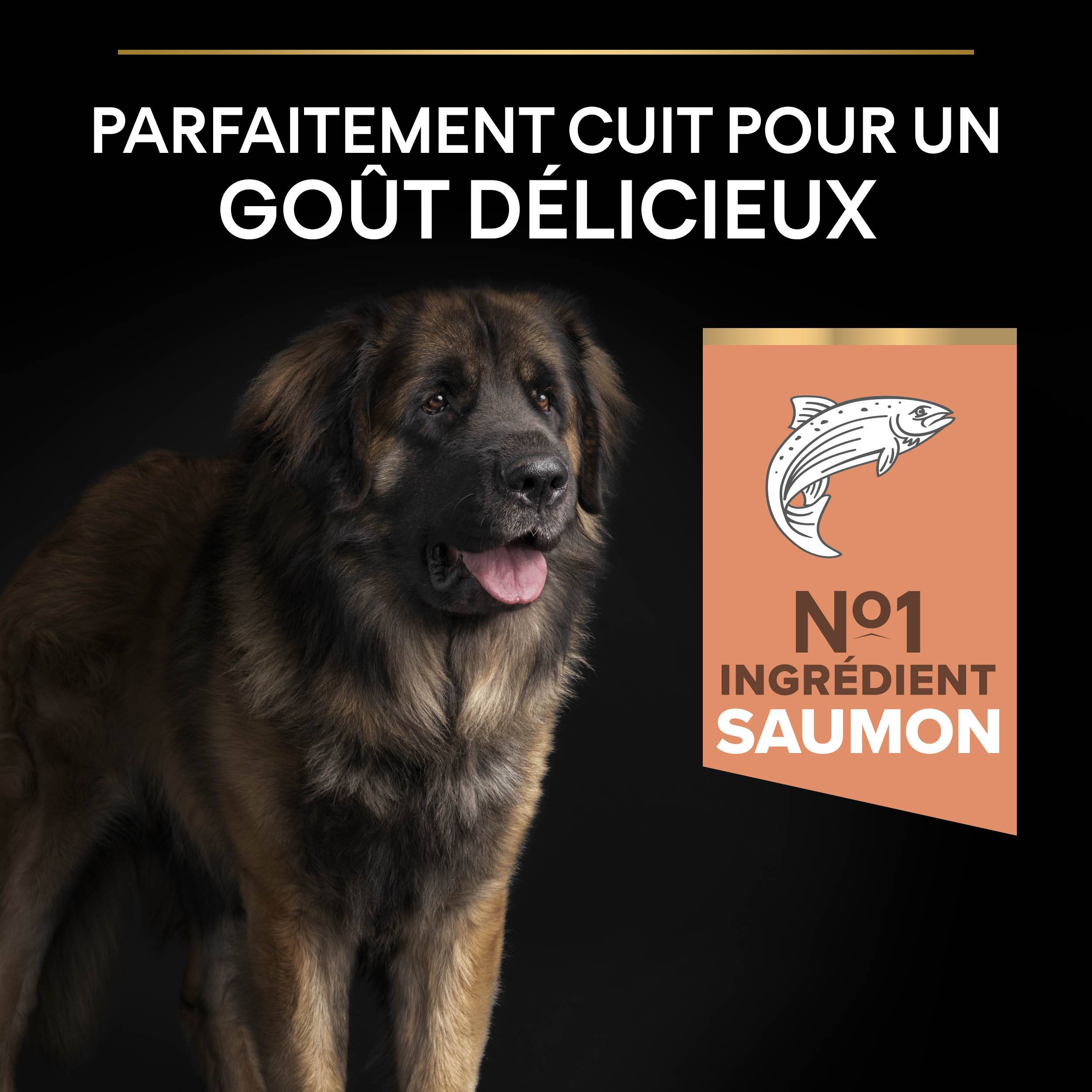 Purina Pro Plan - Croquettes chien Large Adulte Sensitive Skin Saumon 14 kg - PRO PLAN - Image 7