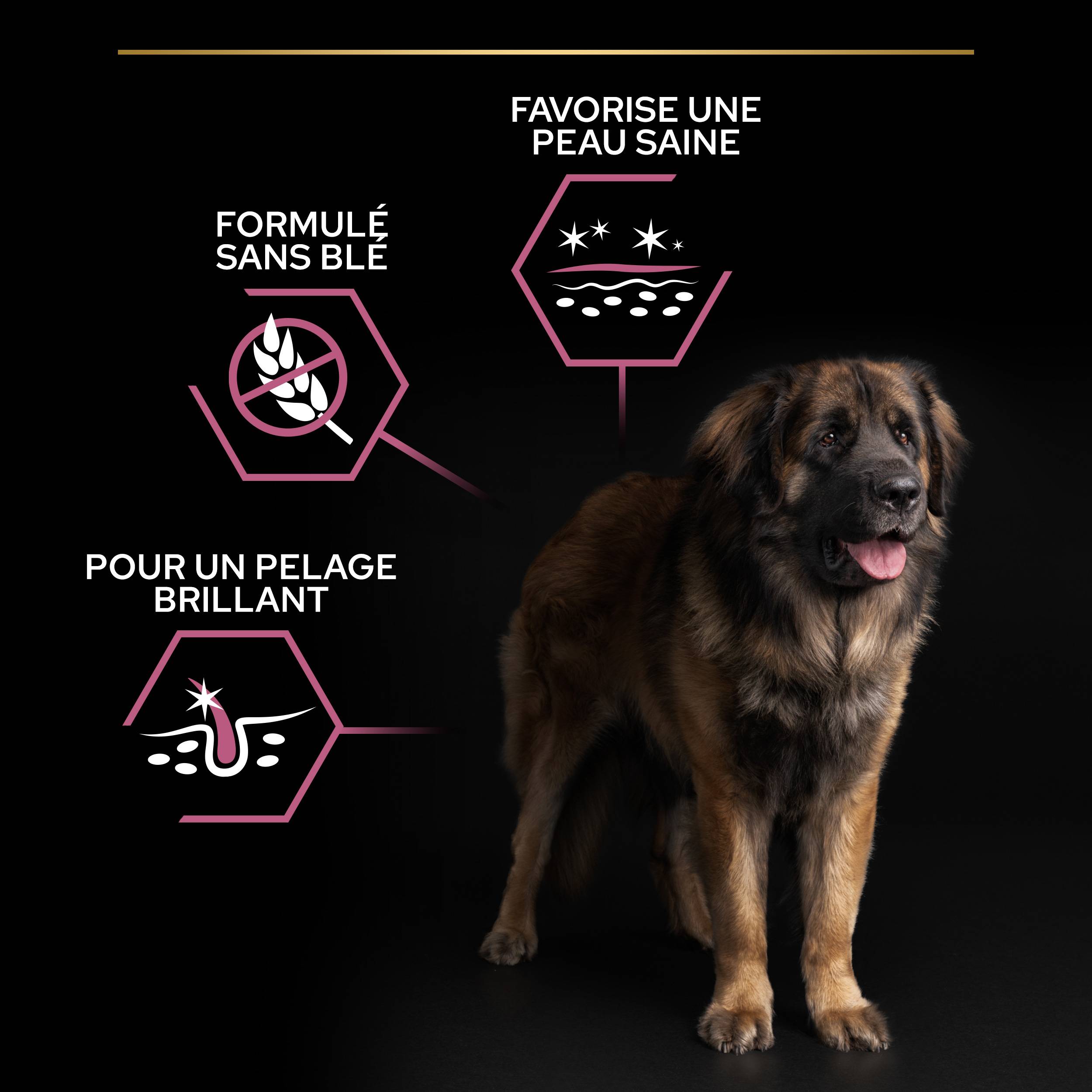 Purina Pro Plan - Croquettes chien Large Adulte Sensitive Skin Saumon 14 kg - PRO PLAN - Image 10