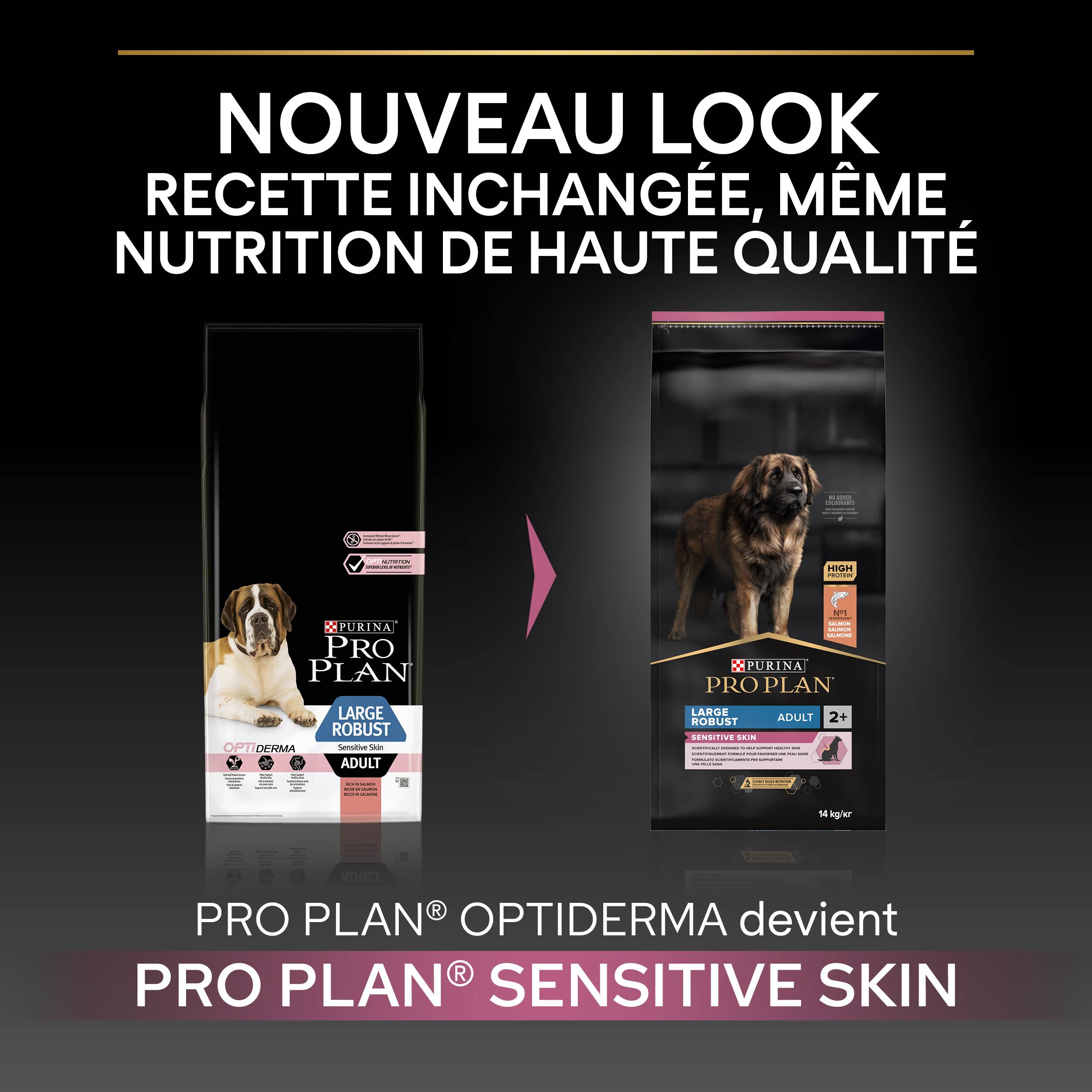 Purina Pro Plan - Croquettes chien Large Adulte Sensitive Skin Saumon 14 kg - PRO PLAN - Image 5