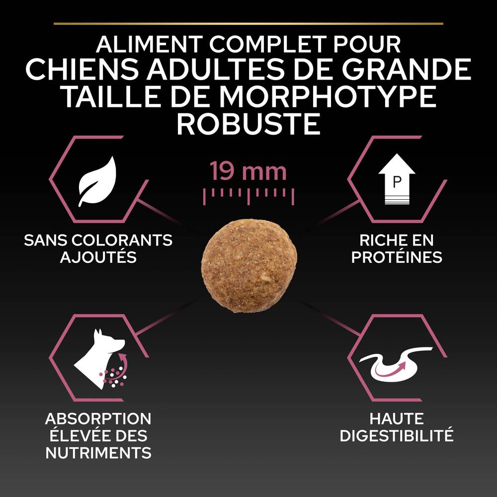 Purina Pro Plan - Croquettes chien Large Adulte Sensitive Skin Saumon 14 kg - PRO PLAN - Image 12