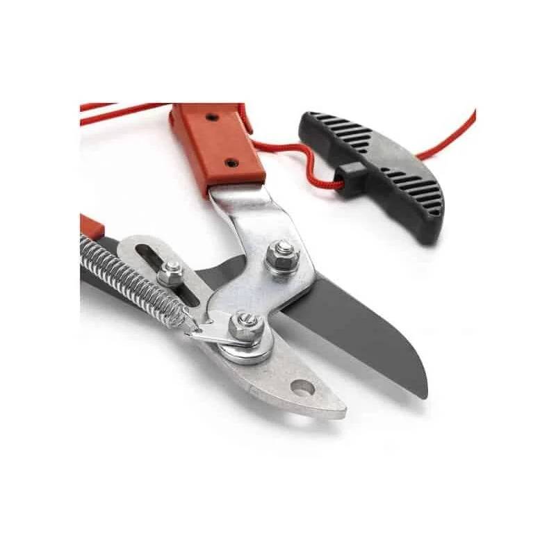 Outils Wolf - Échenilloir coupe enclume acier Ø coupe 38 mm Multi-Star ORM2 - Outils Wolf - Image 6