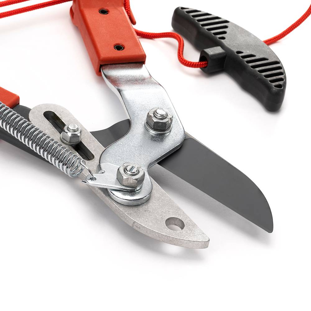 Outils Wolf - Échenilloir coupe enclume acier Ø coupe 38 mm Multi-Star ORM2 - Outils Wolf - Image 2