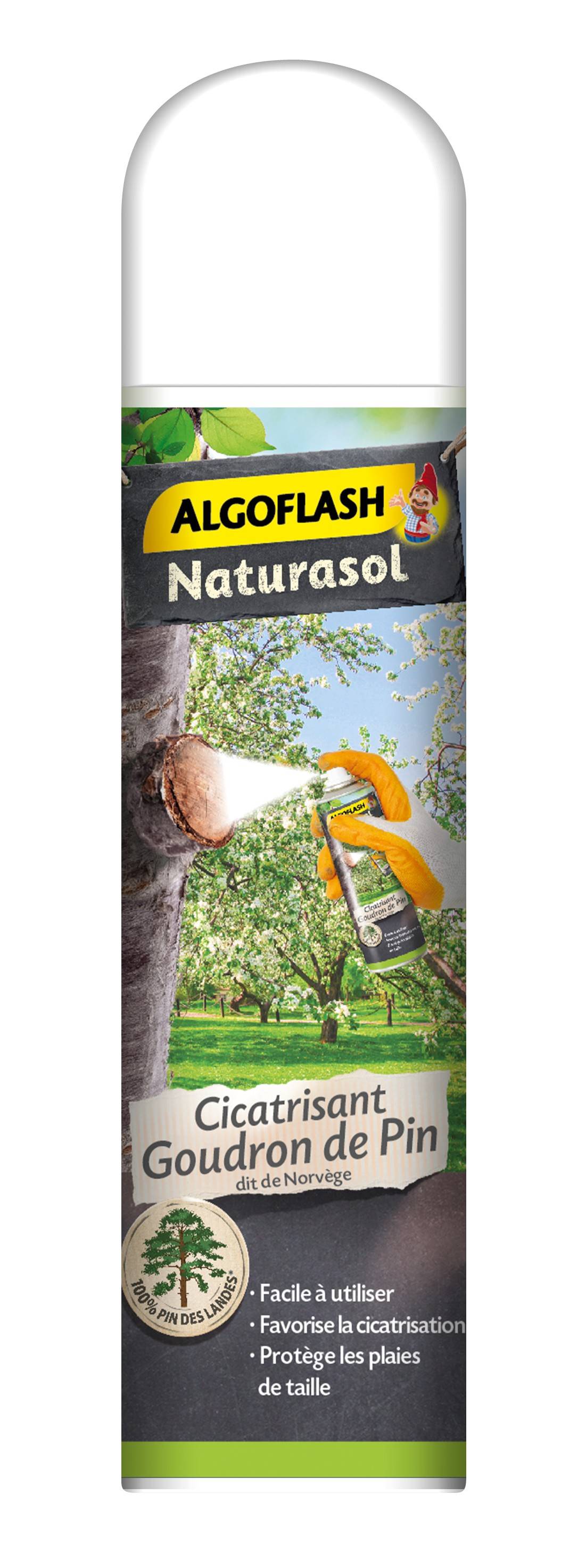 Algoflash Naturasol - Cicatrisant Goudron De Pin – ALGOFLASH NATURASOL - Image 2