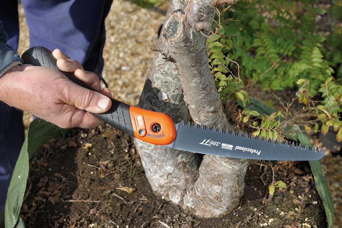 Bahco - Scie arboricole pliable – BAHCO - Image 2