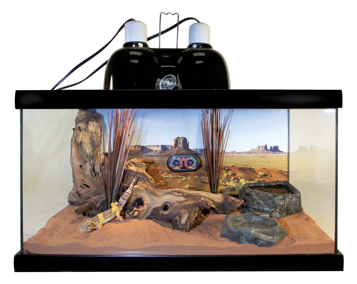 Zoomed - Zoomed - Kit habitat complet pour Gecko léopard - Image 2
