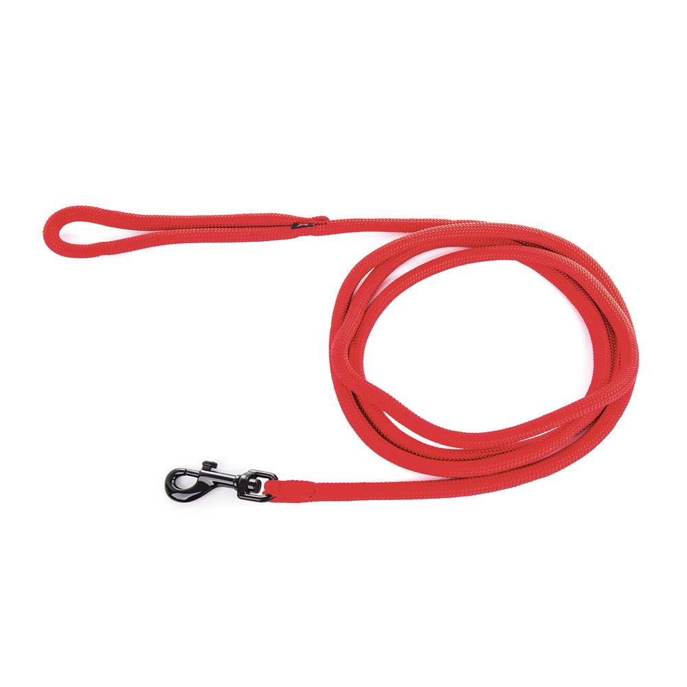 Smooz - Longe pour Chien MARTIN SELLIER - Image 2