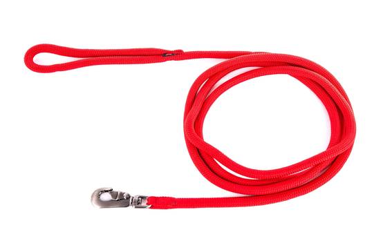 Smooz - Longe pour Chien MARTIN SELLIER - Image 1