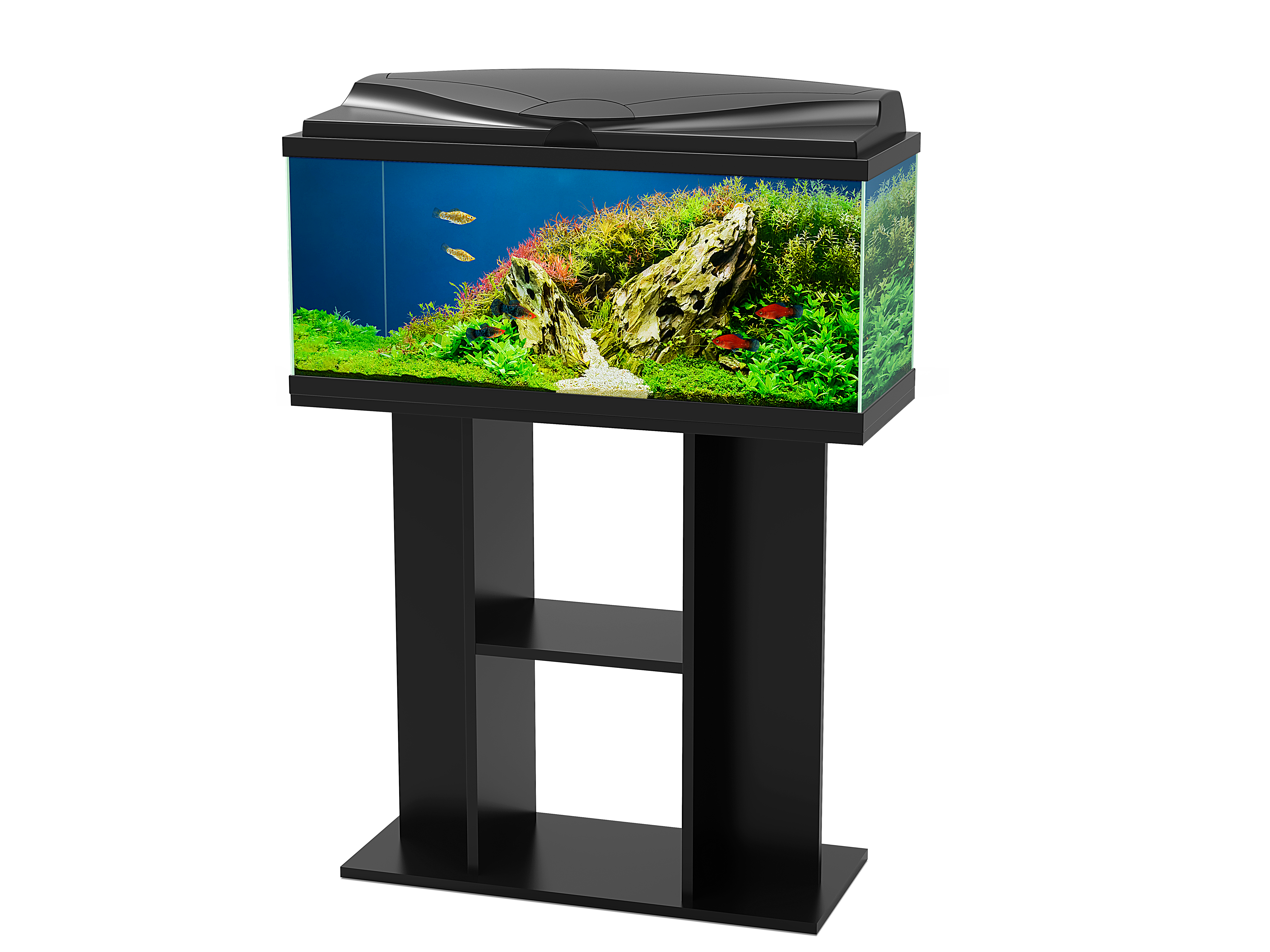 Ciano - Meuble pour aquarium terrarium bois mélaminé noir - CIANO - Image 4
