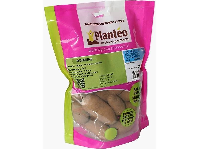 Pomme de terre Dolreine 25/32 25 plants - PLANTEO