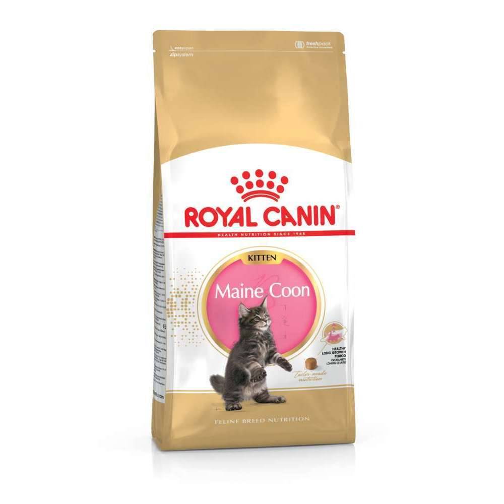 Royal Canin - Croquettes chaton Maine Coon Kitten - ROYAL CANIN - Image 2