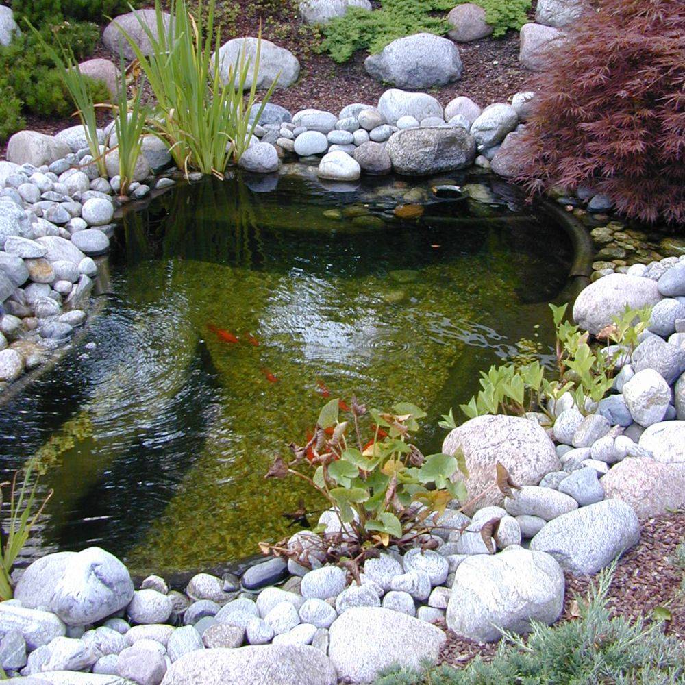 Ubbink - Bassin de jardin préformé Start 250L - Ubbink - Image 4