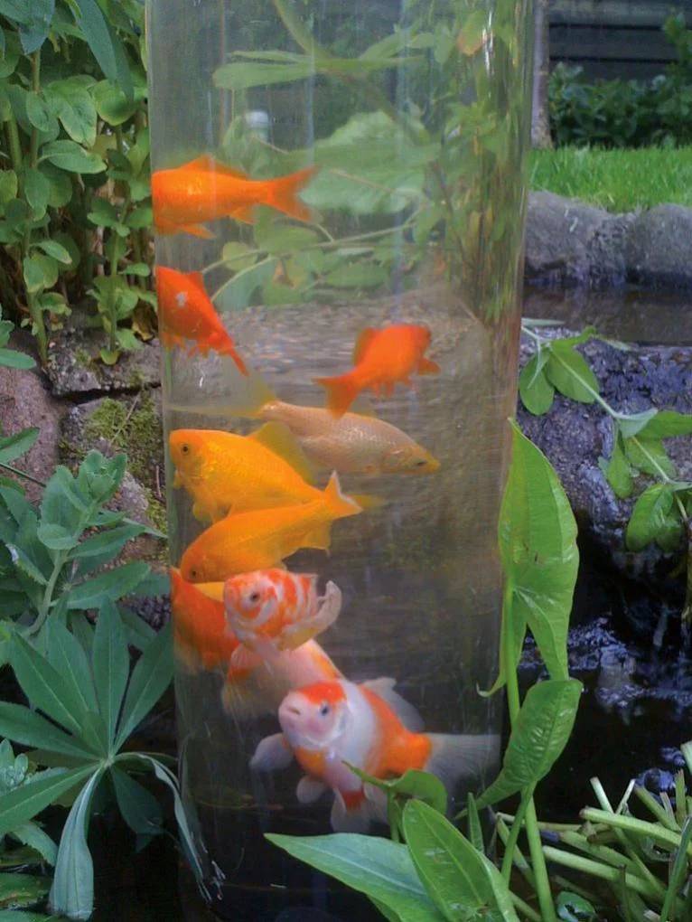 Ubbink - Tour À Poisson Fishtower - UBBINK - Image 7