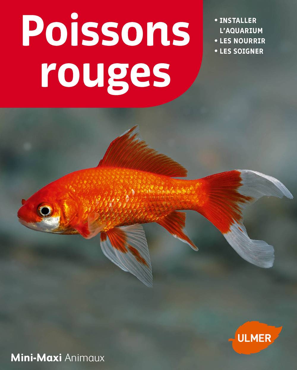 Ulmer - Poissons rouges