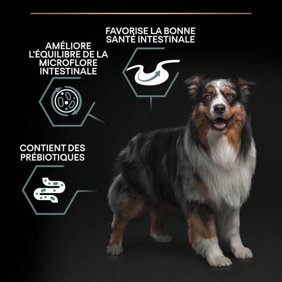 Purina Pro Plan - Croquettes chien Medium Adulte Digestion à l'agneau 3 kg- PRO PLAN - Image 3