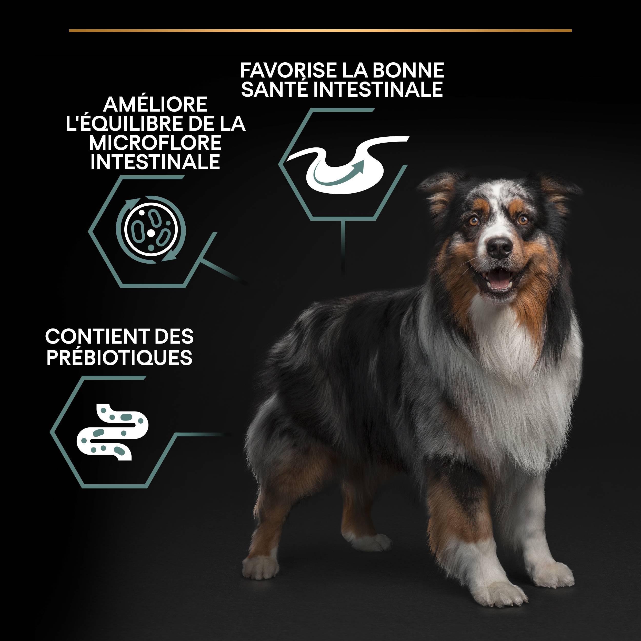 Purina Pro Plan - Croquettes chien Medium Adulte Digestion à l'agneau 3 kg- PRO PLAN - Image 3