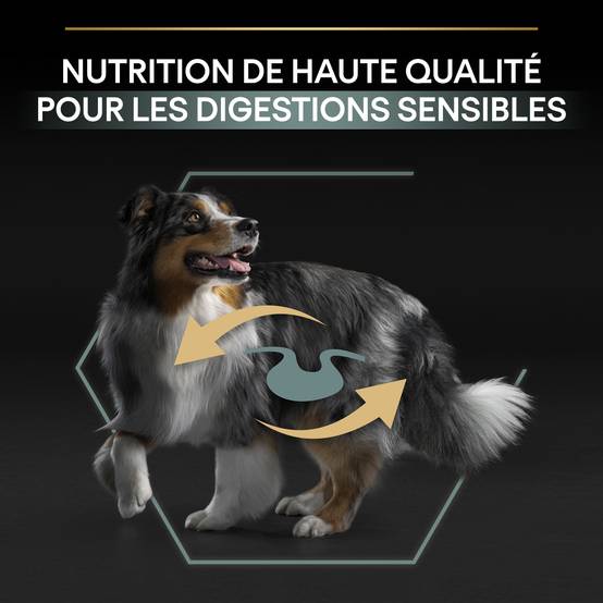 Purina Pro Plan - Croquettes chien Medium Adulte Digestion à l'agneau 3 kg- PRO PLAN - Image 6