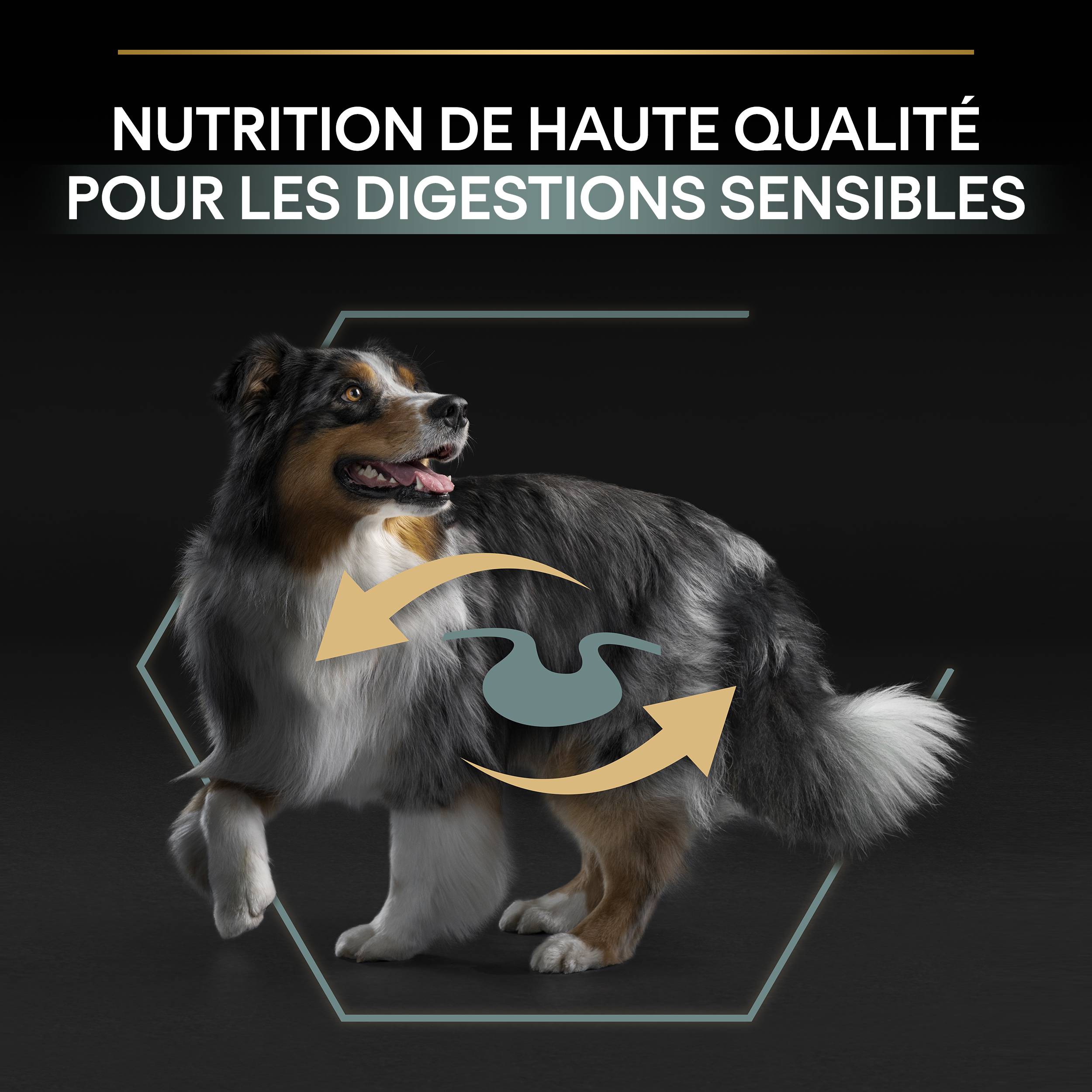 Purina Pro Plan - Croquettes chien Medium Adulte Digestion à l'agneau 3 kg- PRO PLAN - Image 6