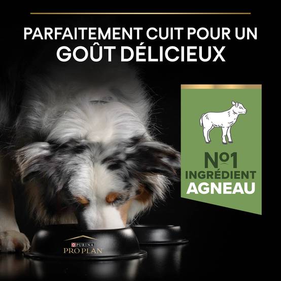 Purina Pro Plan - Croquettes chien Medium Adulte Digestion à l'agneau 3 kg- PRO PLAN - Image 4