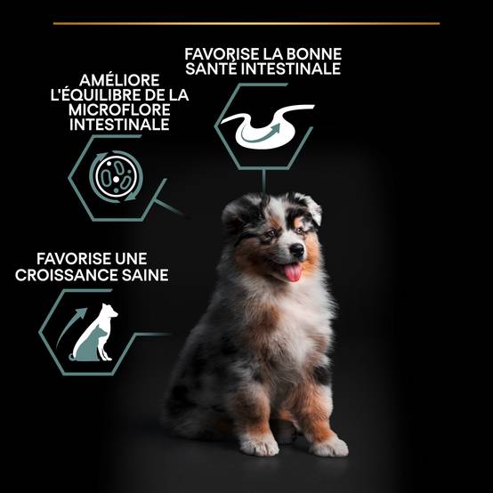 Purina Pro Plan - Croquettes chien Junior Medium Digestion Agneau 3 kg - PRO PLAN - Image 3