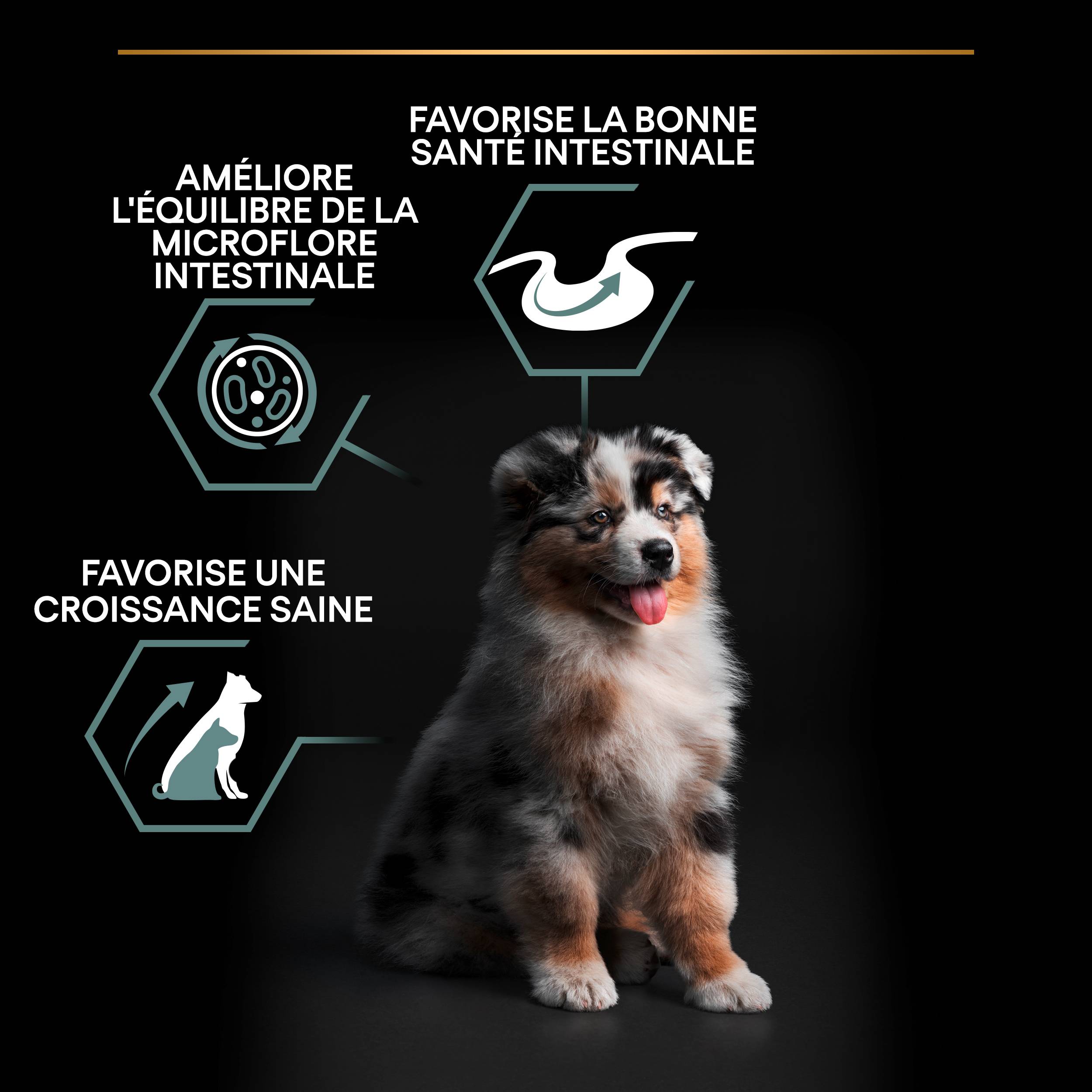 Purina Pro Plan - Croquettes chien Junior Medium Digestion Agneau  3 kg - PRO PLAN - Image 3
