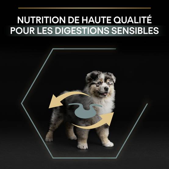 Purina Pro Plan - Croquettes chien Junior Medium Digestion Agneau 3 kg - PRO PLAN - Image 11