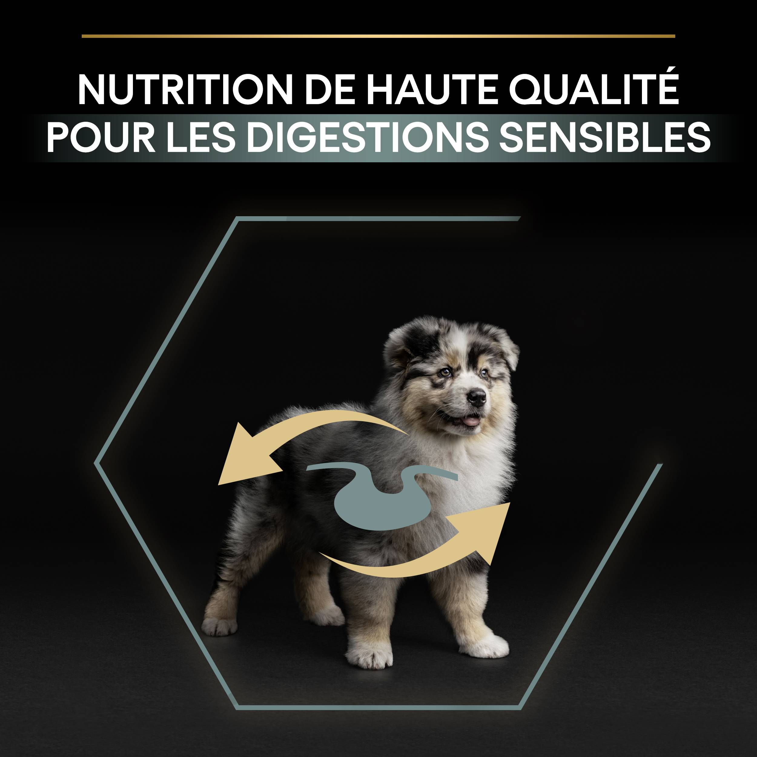 Purina Pro Plan - Croquettes chien Junior Medium Digestion Agneau  3 kg - PRO PLAN - Image 11
