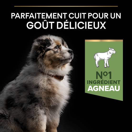 Purina Pro Plan - Croquettes chien Junior Medium Digestion Agneau 3 kg - PRO PLAN - Image 15