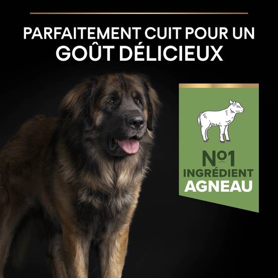 Purina Pro Plan - Croquettes chien Adulte Large Robuste Sensitive Digestion Agneau 14 kg - PRO PLAN - Image 2