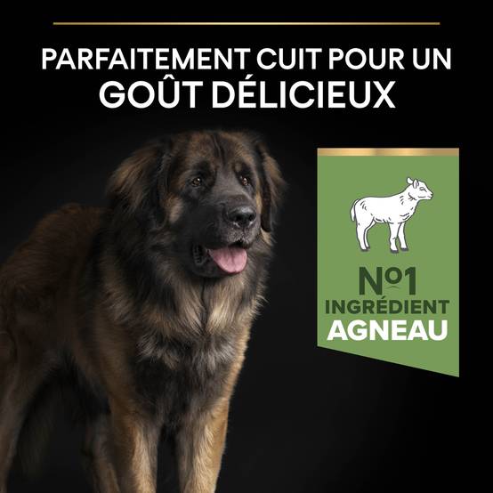 Purina Pro Plan - Croquettes chien Adulte Large Robuste Sensitive Digestion Agneau 14 kg - PRO PLAN - Image 15