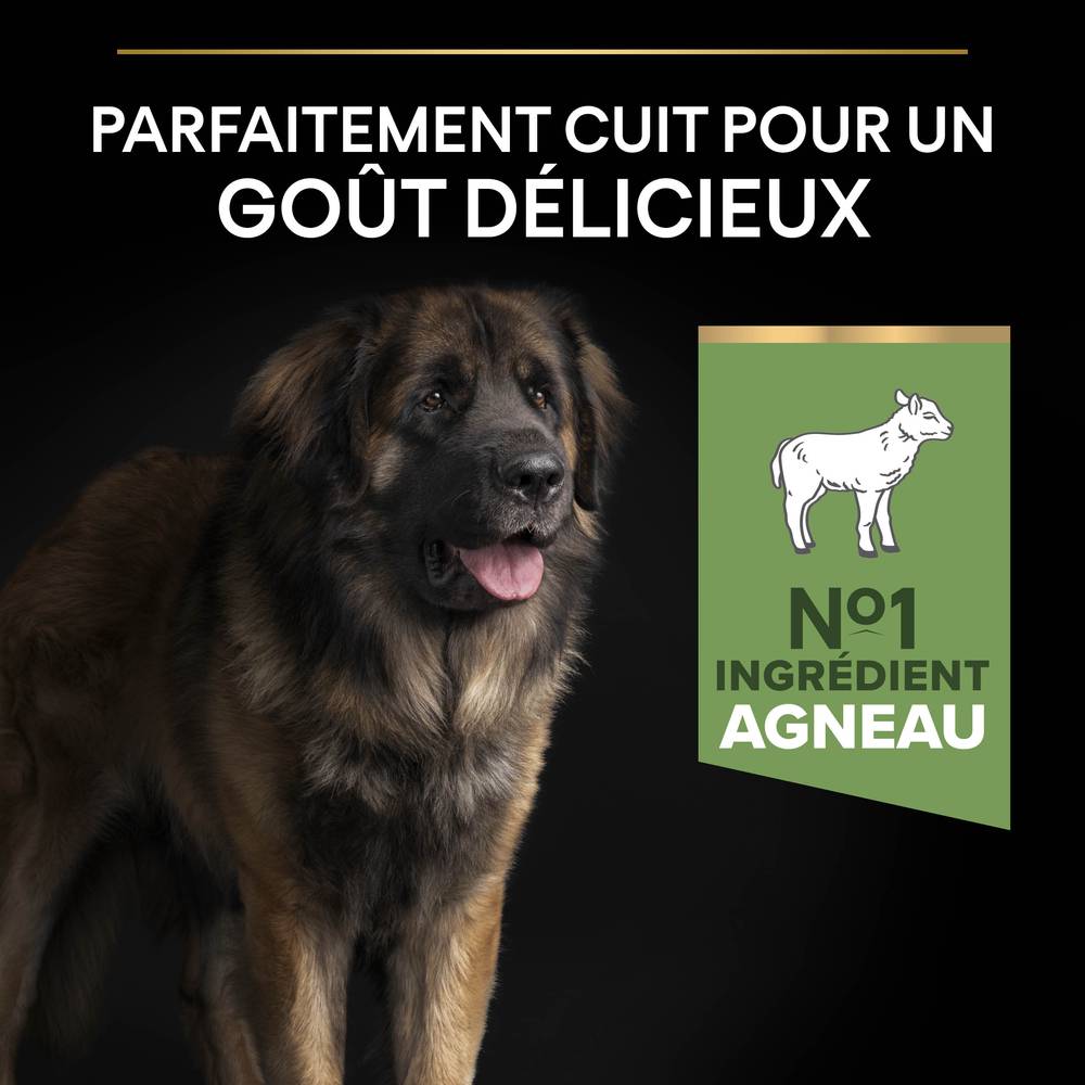 Purina Pro Plan - Croquettes chien Adulte Large Robuste Sensitive Digestion Agneau 14 kg - PRO PLAN - Image 15