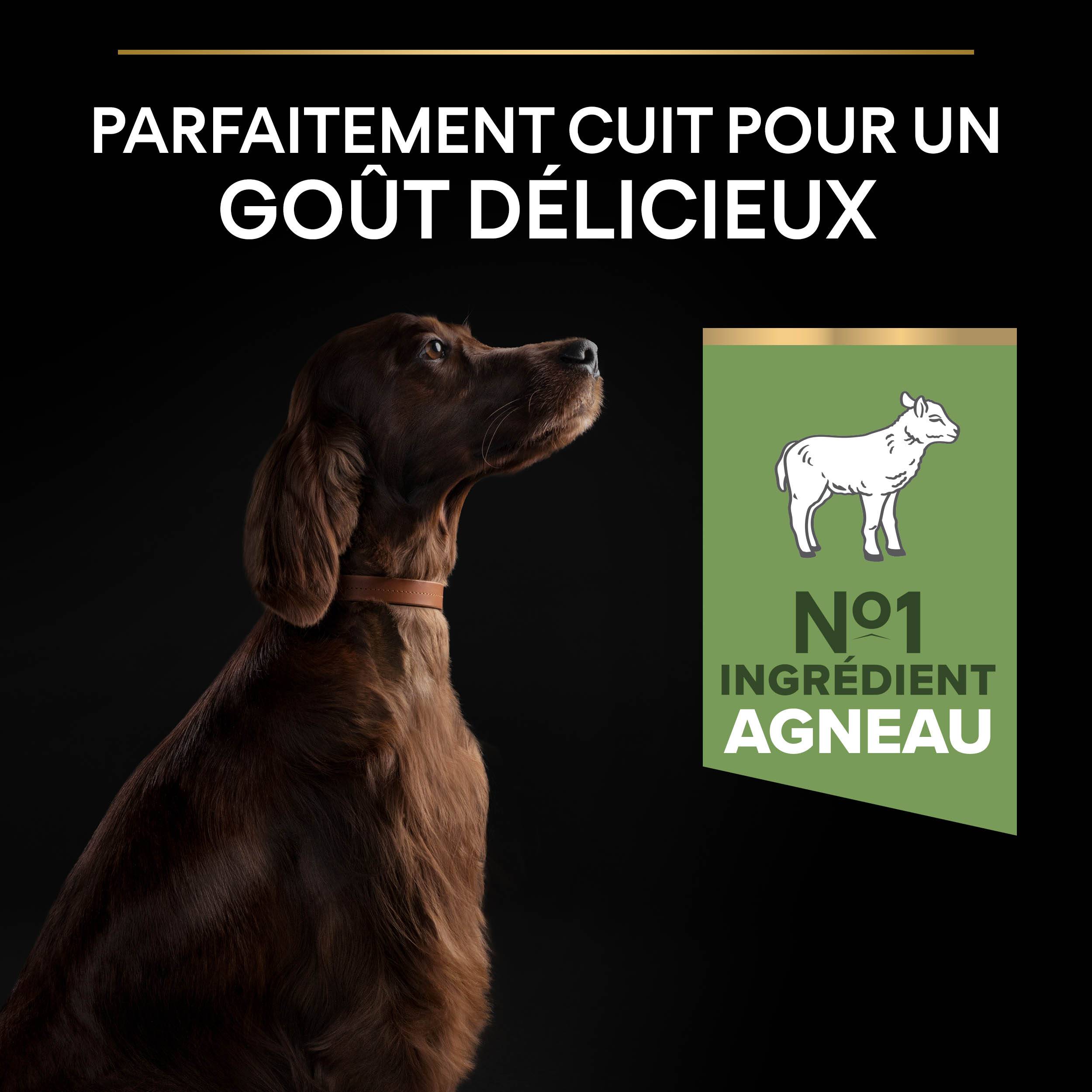 Purina Pro Plan - Croquettes chien Adulte Large Athletic Sensitive Digestion Agneau 14 kg - PRO PLAN - Image 9