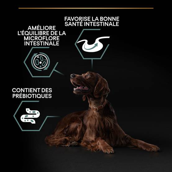 Purina Pro Plan - Croquettes chien Adulte Large Athletic Sensitive Digestion Agneau 14 kg - PRO PLAN - Image 5