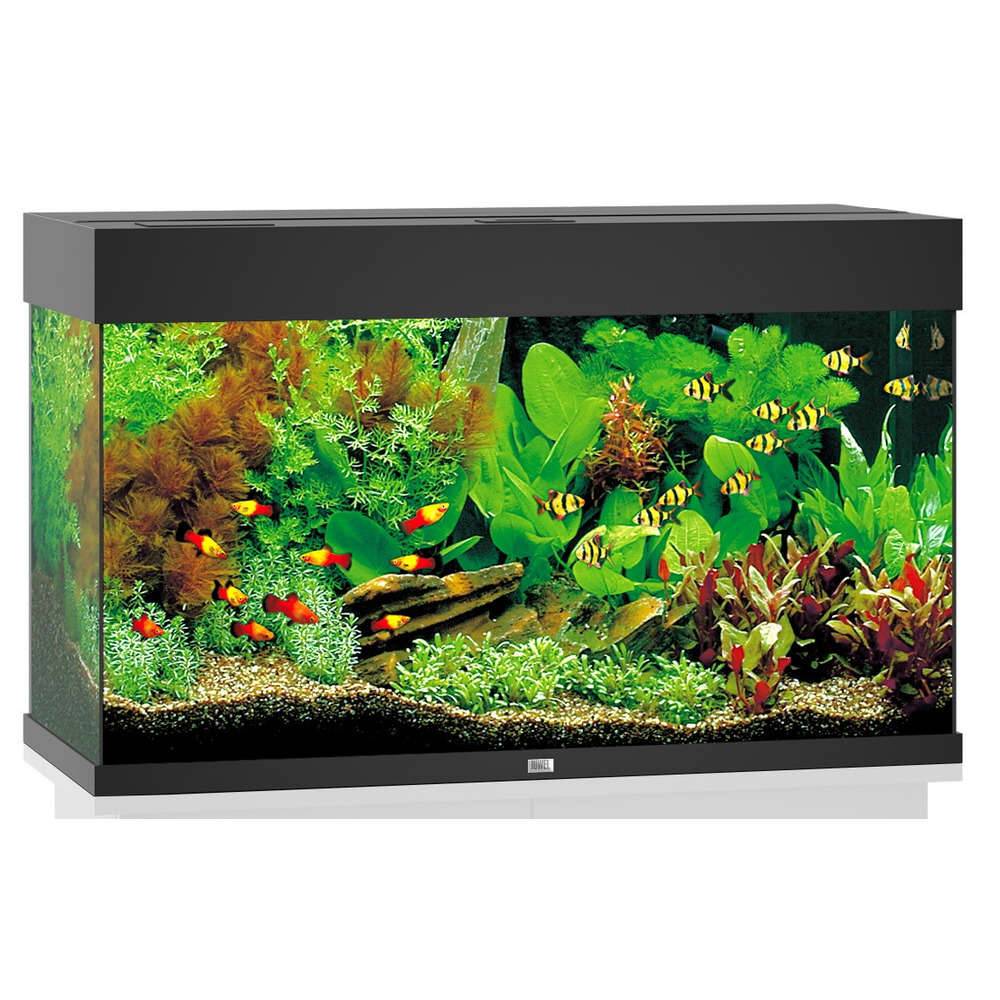 Aquarium LED Noir 125 L – JUWEL - Image 4