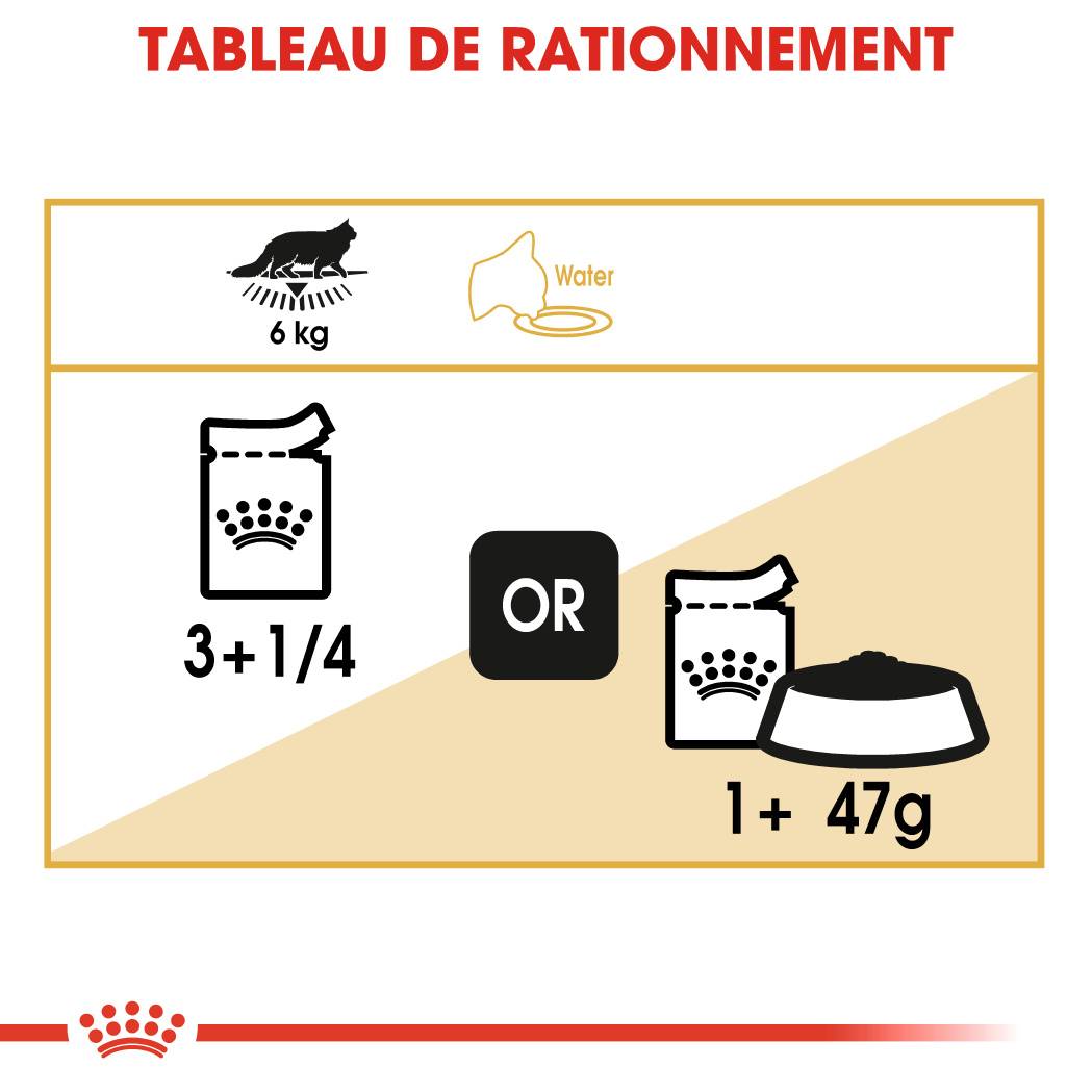 Royal Canin - Aliment chat Maine Coon Adulte - ROYAL CANIN - Image 2