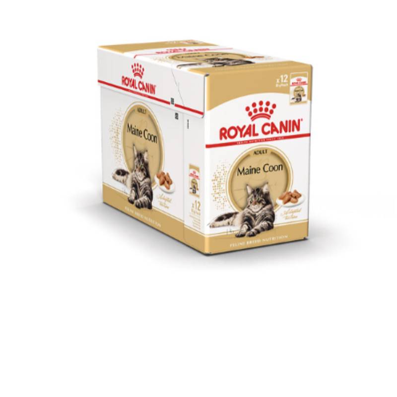 Royal Canin - Aliment chat Maine Coon Adulte - ROYAL CANIN - Image 1