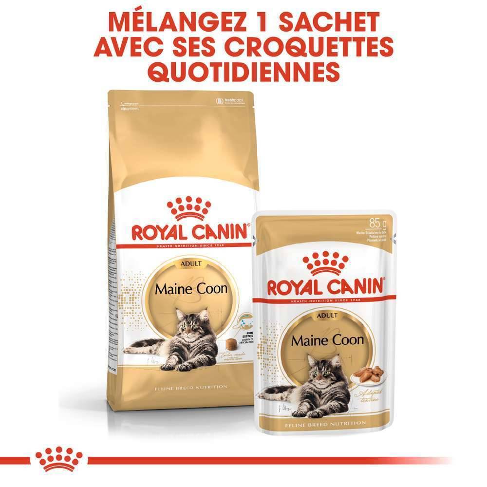 Royal Canin - Aliment chat Maine Coon Adulte - ROYAL CANIN - Image 6