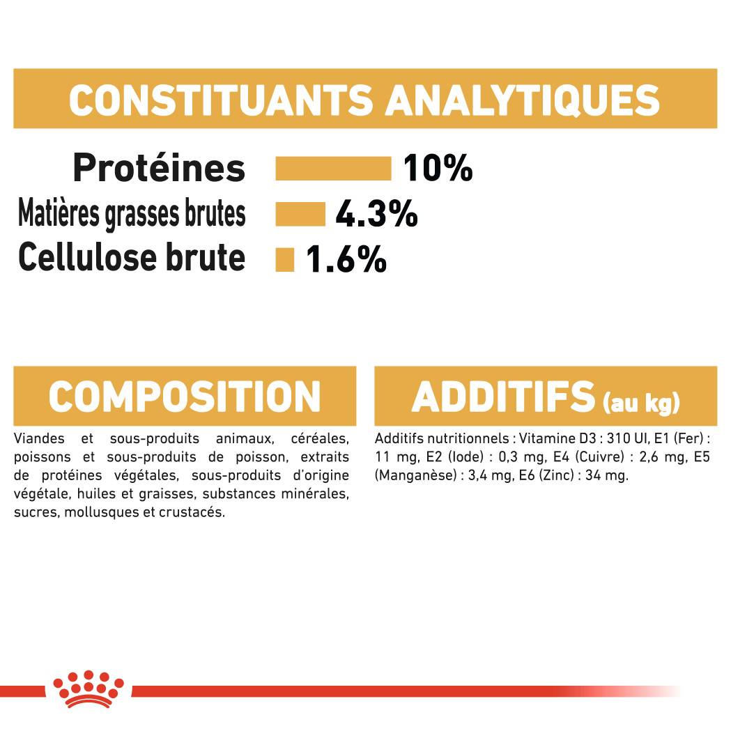 Royal Canin - Aliment chat Maine Coon Adulte - ROYAL CANIN - Image 4