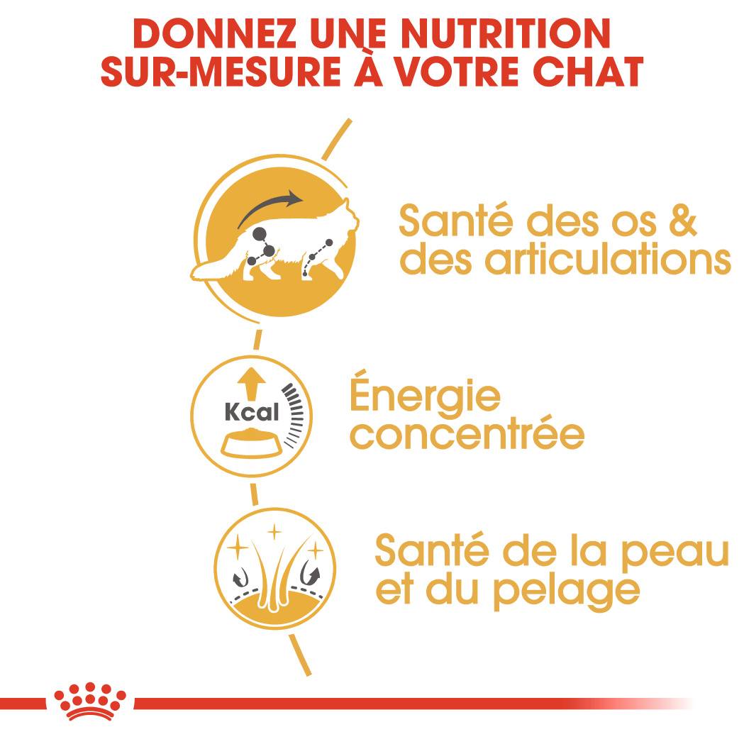 Royal Canin - Aliment chat Maine Coon Adulte - ROYAL CANIN - Image 8