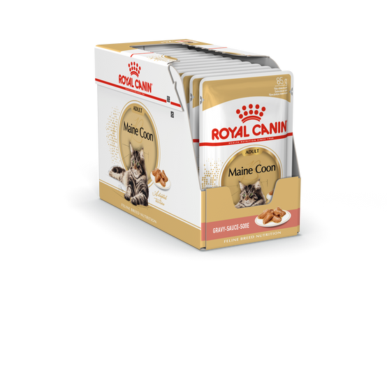 Royal Canin - Aliment chat Maine Coon Adulte - ROYAL CANIN - Image 13