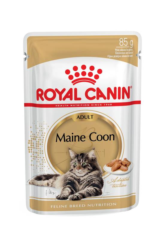 Royal Canin - Aliment chat Maine Coon Adulte - ROYAL CANIN - Image 15