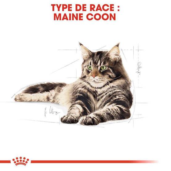 Royal Canin - Aliment chat Maine Coon Adulte - ROYAL CANIN - Image 22