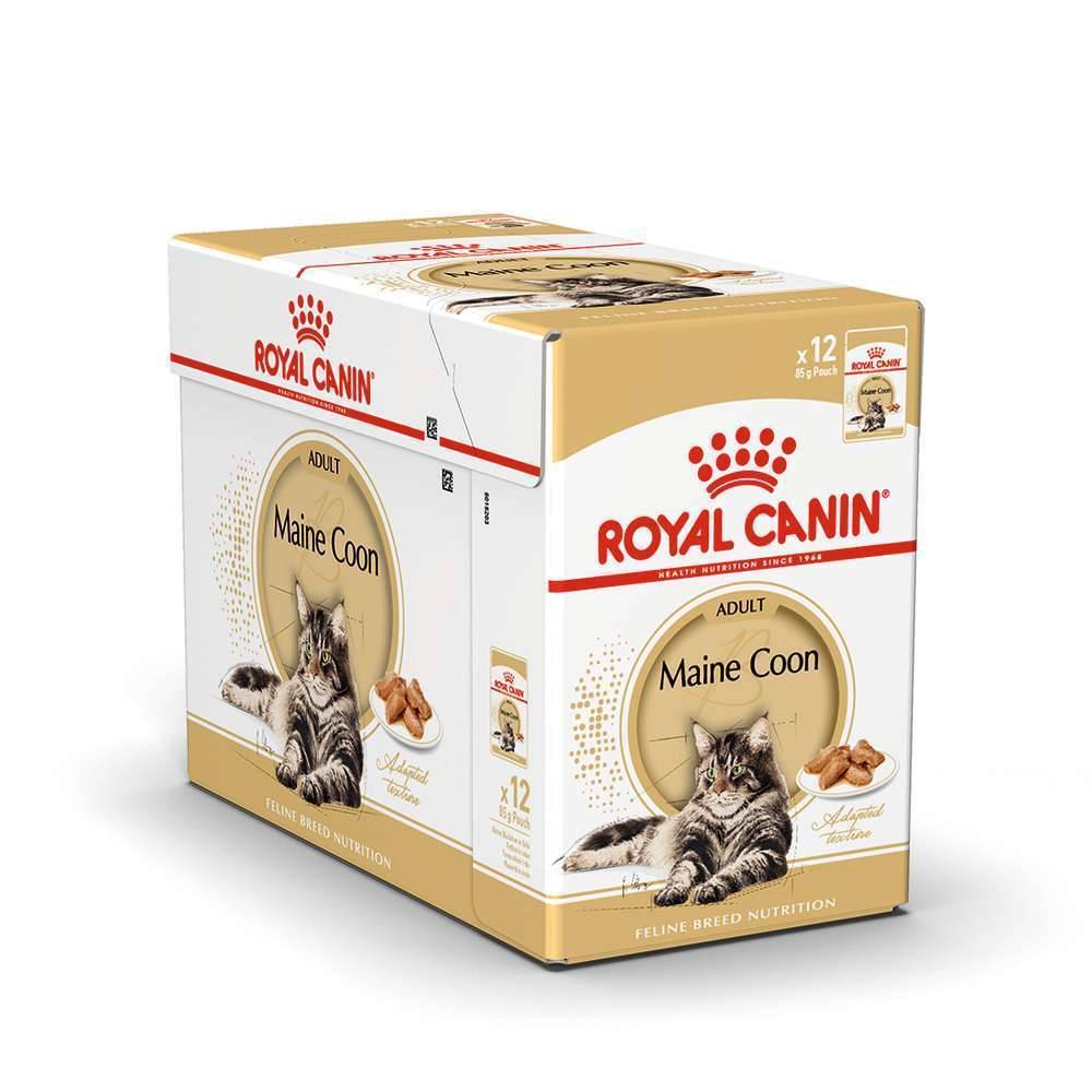 Royal Canin - Aliment chat Maine Coon Adulte - ROYAL CANIN - Image 20