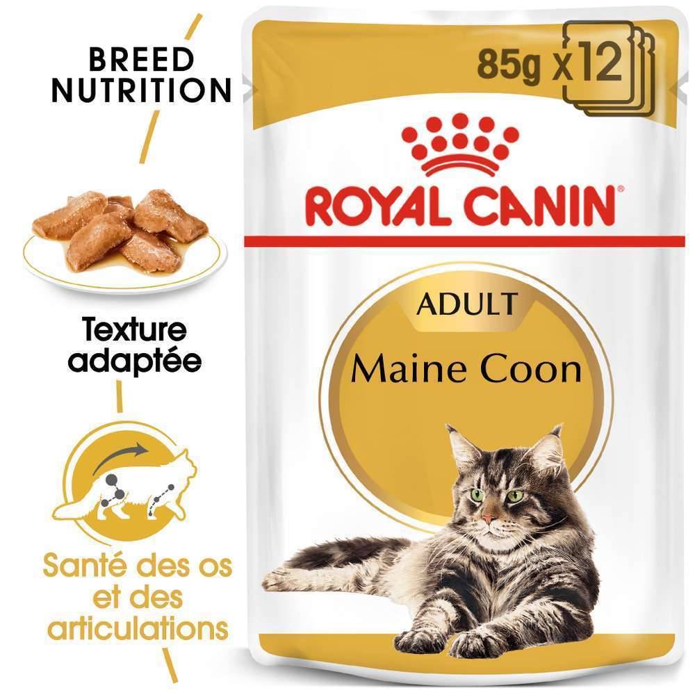 Royal Canin - Aliment chat Maine Coon Adulte - ROYAL CANIN - Image 17