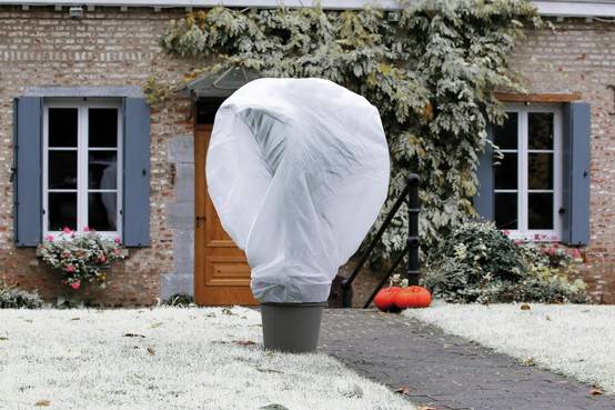 Nortène - Voile d'hivernage Wintertex L. 5 x l.2 m 30 g/m² - Nortène - Image 1